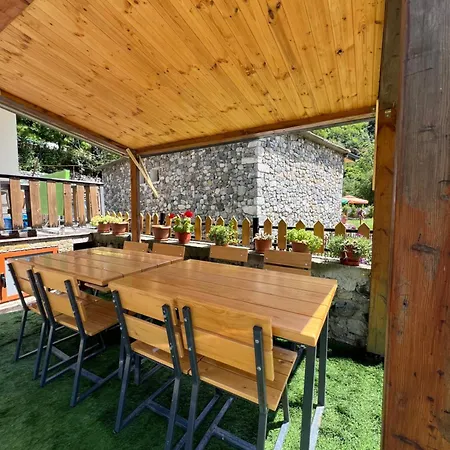 Guest house Shtepiza Theth