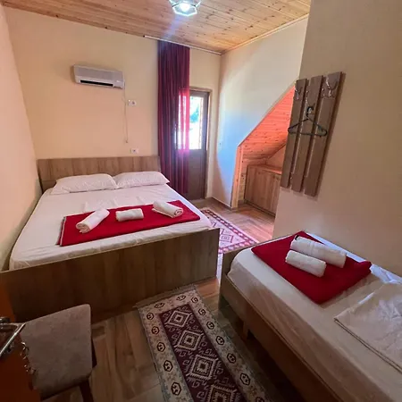 Shtepiza 3* Тети