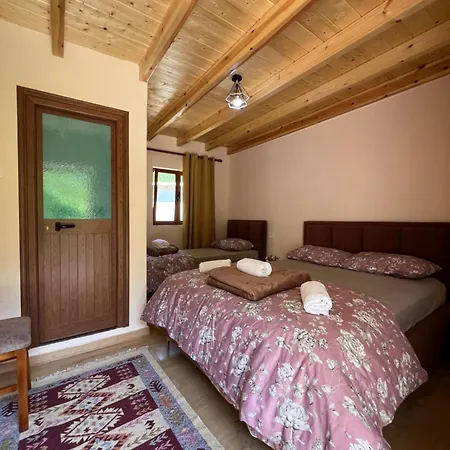 Shtepiza 3* Тети